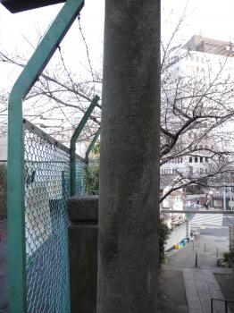 右側柱の銘文