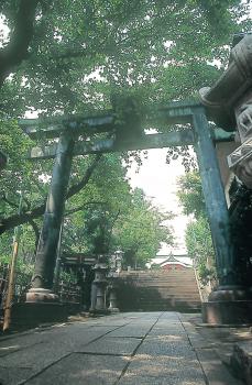市谷亀岡八幡宮の銅鳥居