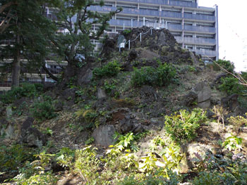 成子天神社の富士塚