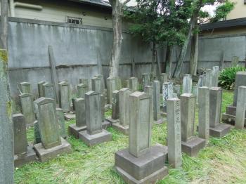墓地南側　儒葬墓の形式は留めていない