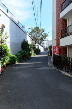 椎木坂
