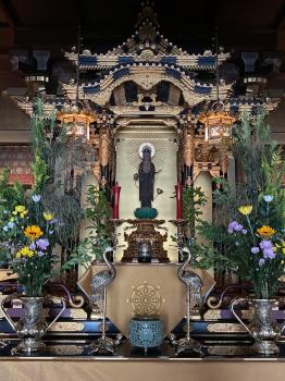 専行寺の木造阿弥陀如来立像