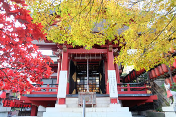 茶木稲荷神社　社殿