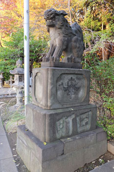 狛犬（阿形）