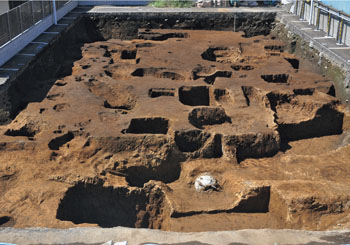 市谷甲良町遺跡５次調査　調査区全景（東から）