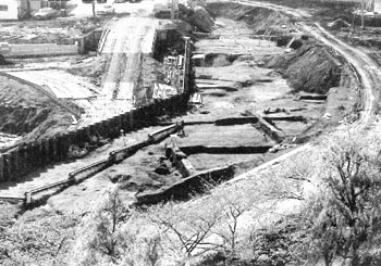 妙正寺川No.１遺跡１次調査　Ⅲ区全景