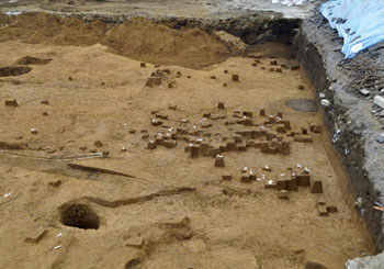 若松町遺跡３次調査　２区西側旧石器時代遺物検出状況（北から）