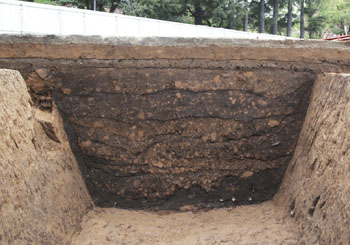 尾張徳川家下屋敷跡11次調査　１号遺構A断面（南西から）