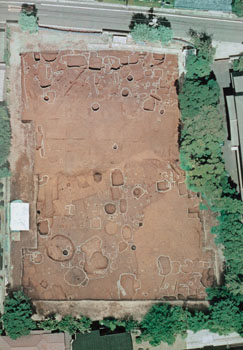 市谷加賀町二丁目遺跡２次調査　調査区全景