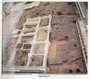 信濃町遺跡１次調査　調査区南側全景2