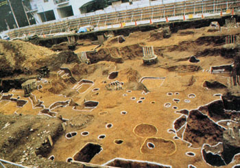 四谷一丁目南遺跡１次調査　A区全景（北西から）