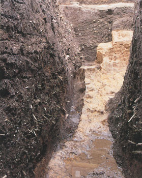 坂町遺跡１次調査　第４号遺構土層断面（西から）