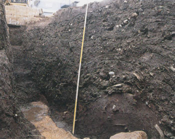 坂町遺跡１次調査　第４号遺構中央部土層断面（南東から）