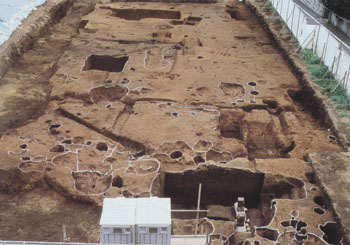 信濃町南遺跡３次調査　１区全景（西から）