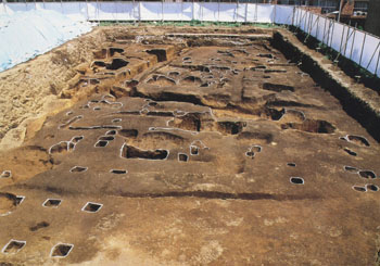 信濃町南遺跡３次調査　４区全景（西から）