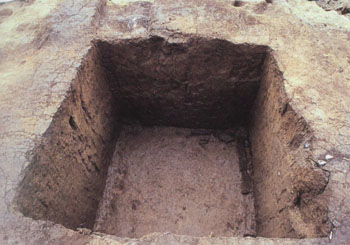 信濃町南遺跡３次調査　011号遺構（構築材が検出された方形の地下室）（東から）