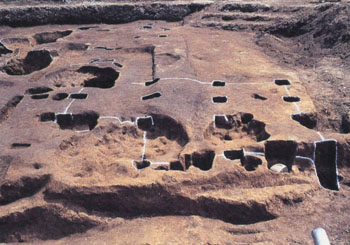 信濃町南遺跡３次調査　３号建物跡（北から）