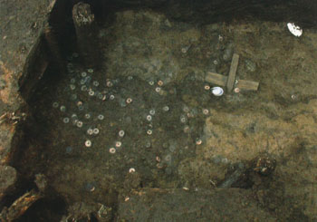 天龍寺跡１次調査　60号遺構Ｅブロック銭貨検出状況（北から）