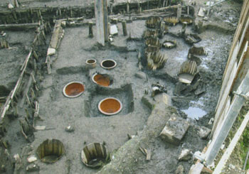 南元町遺跡１次調査　崇源寺西側墓域全景（北から）